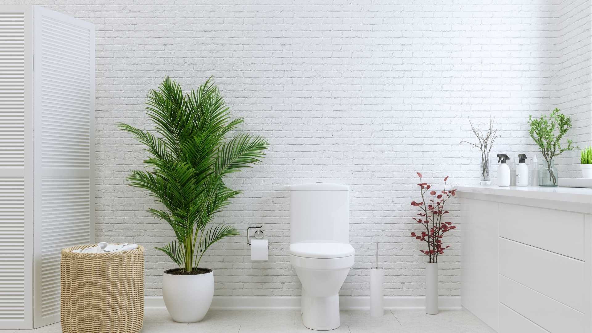 Toilet maintenance